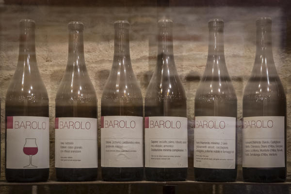 Langhe, Cuneo district, Piedmont, Italy. Barolo wine region, winery Grinzane Cavour castle