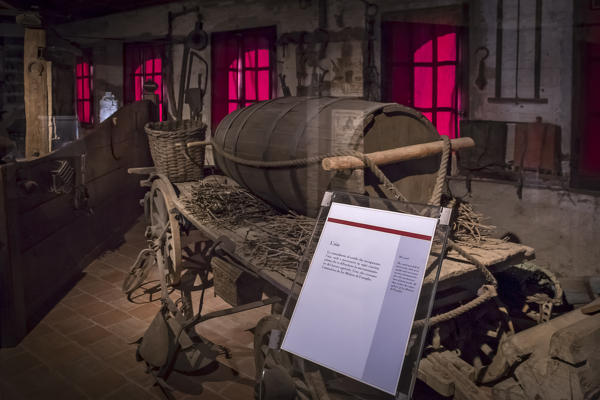 Langhe, Cuneo district, Piedmont, Italy. Barolo wine region, Grinzane Cavour castle interior