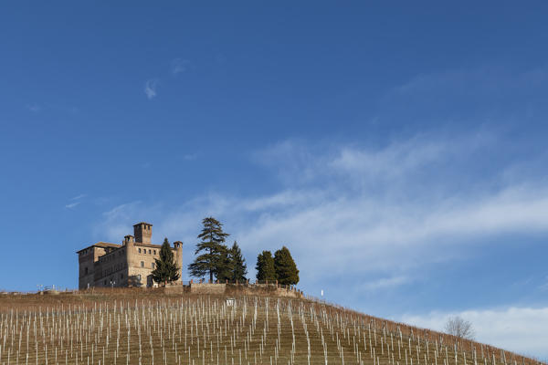 Langhe, Cuneo district, Piedmont, Italy. Barolo wine region, Grinzane Cavour castle