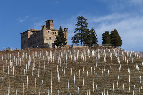 Langhe, Cuneo district, Piedmont, Italy. Barolo wine region, Grinzane Cavour castle