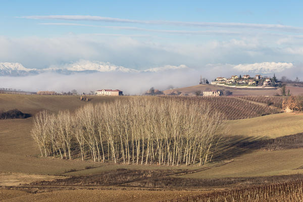 Monferrato, Asti district, Piedmont, Italy. Monferrato wine region