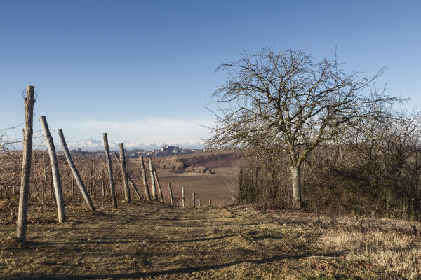 Monferrato, Asti district, Piedmont, Italy. Monferrato wine region