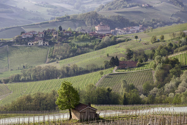 Langhe, Cuneo district, Piedmont, Italy. Langhe wine region spring, view on Barolo castle