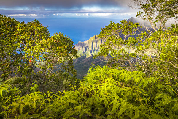 Na Pali coast State Wilderness area, north western side of Kauai island, Hawaii, USA