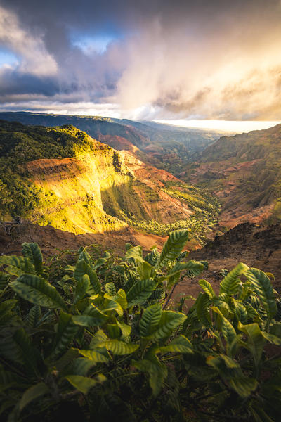 Waimea Canyon State Park, Kauai island, Hawaii, USA