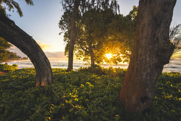 Sunrise in Kapaa beach park, Kauai island, Hawaii, USA