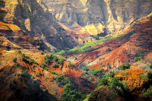 Waimea Canyon State Park, Kauai Island, Hawaii, USA