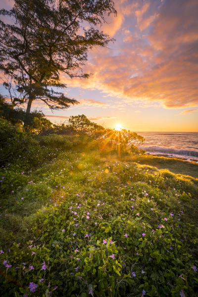 Sunrise in Kapaa beach park, Kauai island, Hawaii, USA