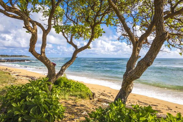 Sunrise in Kapaa beach park, Kauai island, Hawaii, USA