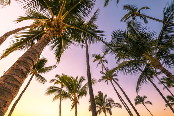 Sunrise in Kihei beach, Maui island, Hawaii, USA