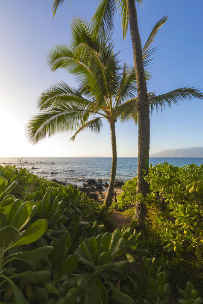 Sunset in Makena beach, Makena beach park, Maui island, Hawaii, USA