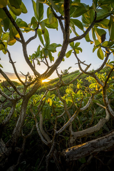 Sunrise in hookipa beack, Maui island, Hawaii, USA