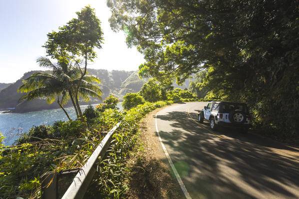 Lookout from the famous Hana Road, Maui island, Hawaii, USA