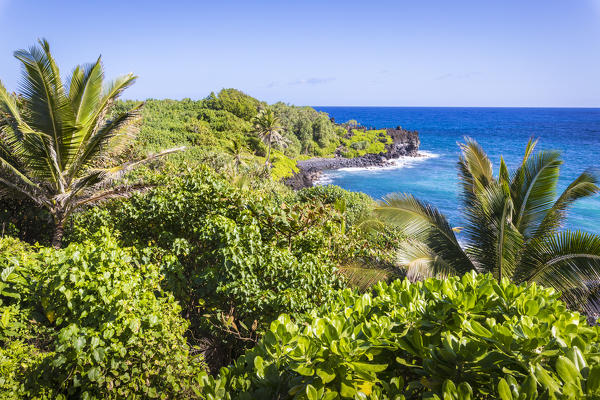 Lookout from the famous Hana Road, Maui island, Hawaii, USA