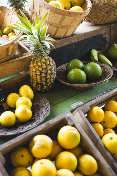 Fruits from local trees, Hana, Maui island, Hawaii, USA