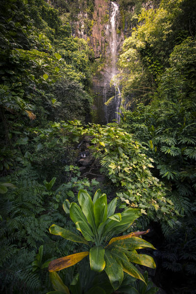 Lookout from the famous Hana Road, Maui island, Hawaii, USA