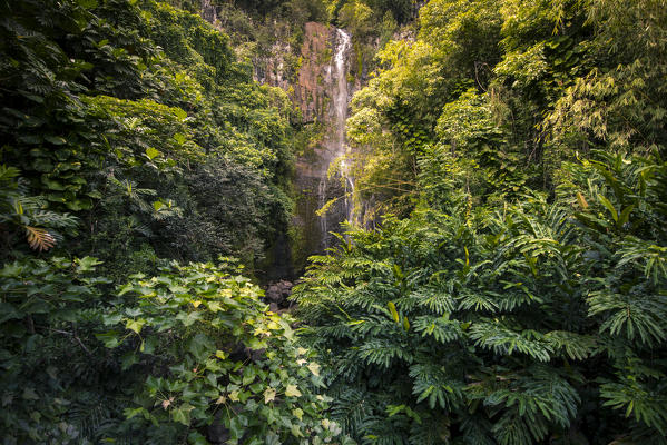 Lookout from the famous Hana Road, Maui island, Hawaii, USA