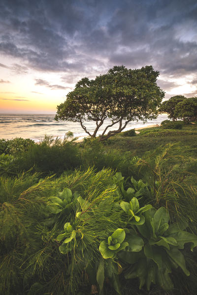 Sunrise in Kauai island, Hawaii, USA