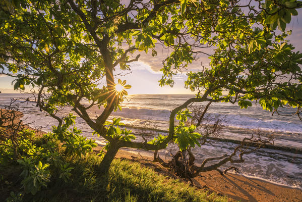 Sunrise in Kauai island, Hawaii, USA