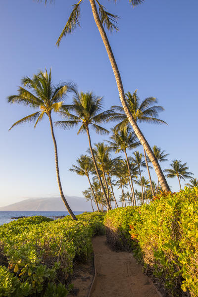 Sunset in Maui near Kihei, Maui Island, Hawaii, USA 