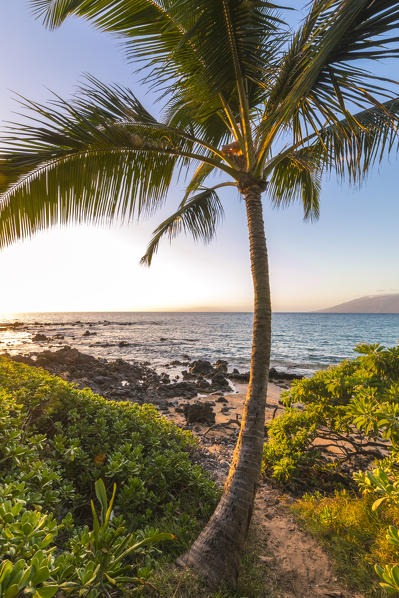 Sunset in Maui near Kihei, Maui Island, Hawaii, USA