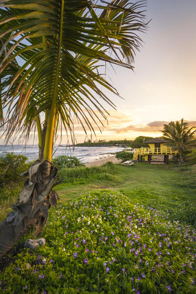 Sunrise in Maui island, Hawaii, USA