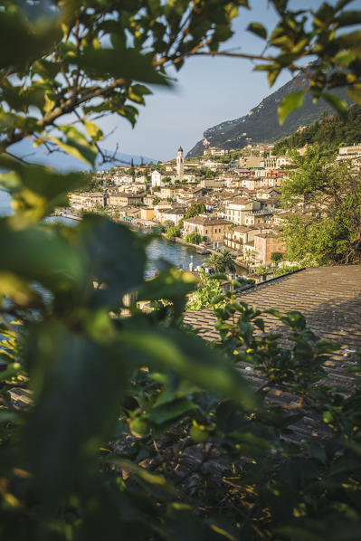 Limone del Garda village with historic lemon houses on Garda Lake. Limone sul Garda, Brescia province, Lombardy, Italy.