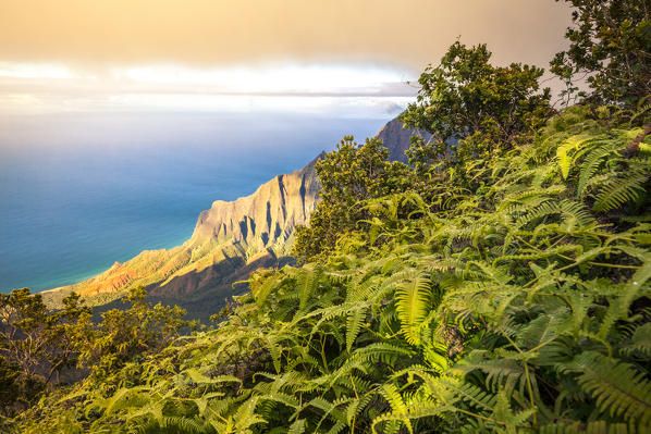 Na Pali coast State Wilderness park, Kauai island, Hawaii, USA