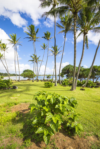 Lydgate State Park, Kauai island, Hawaii, USA