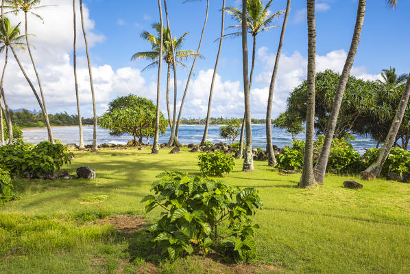 Lydgate State Park, Kauai island, Hawaii, USA