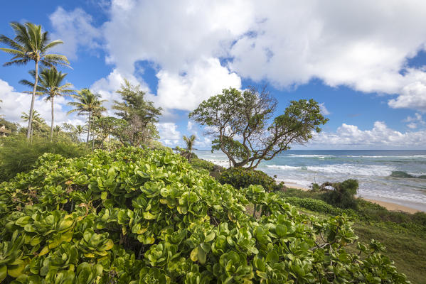 Lydgate State Park, Kauai island, Hawaii, USA