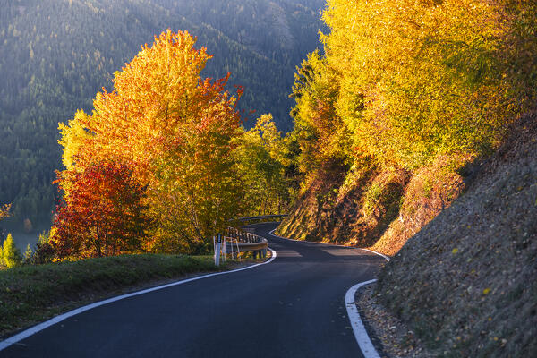 Alpine road in Funes Valley surrounded by trees during sutumn. Funes Valley, South Tyrol, Italy