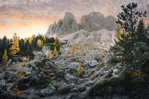 Sunrise in Odle Mountains group with yellow trees,  Funes Valley, South Tyrol, Italy