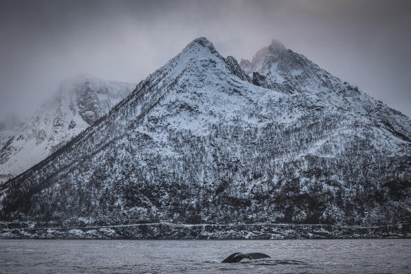 Mefjordvaer, Senja Island, Norway