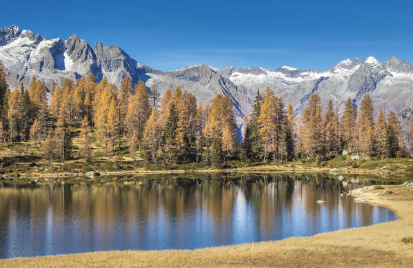 San Giuliano lake, Trentino Alto Adige, Italy