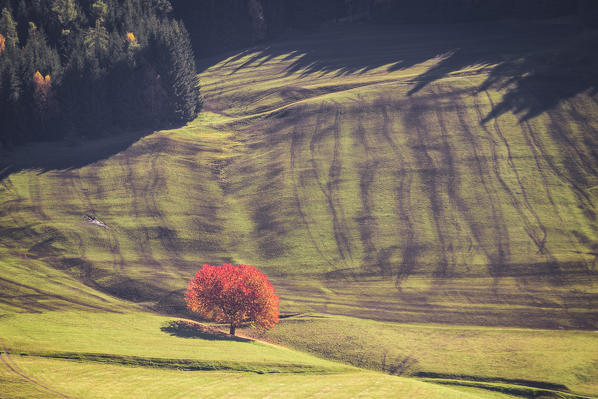 Santa Magdalena, Funes valley. Puez Odle Natural Park, South Tyrol, Italy