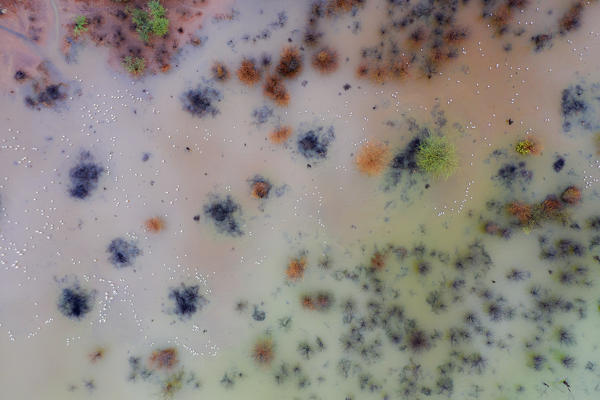 Aerial view of floded banks of lake Bogoria, where lesser and greater flamingos gather; rift valley, Kenya


