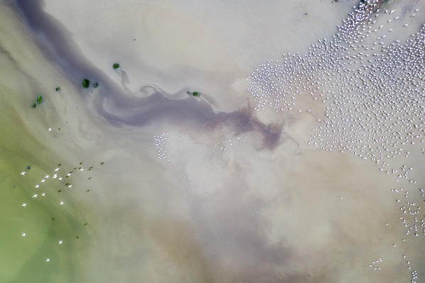 Lesser and greater flamings gathering in Lake Bogoria, Rift Valley, Kenya