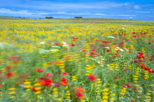 As flores estão desabrochando. The flowers are blooming. #Spring in # Portuguese #learnportuguese #portuguesevoca… in 2023