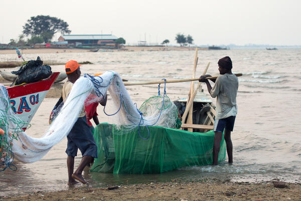 40,719 Fish Net Stock Photos, High-Res Pictures, and Images