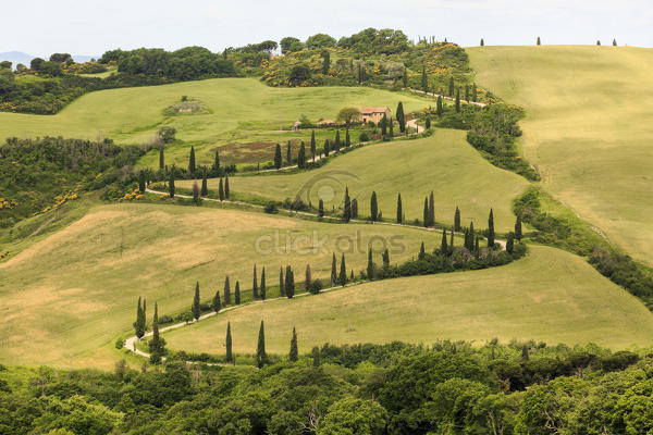 Tuscany Province Of Siena La Foce At Tuscany Hills Italy