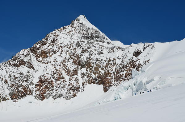 Climbing Capanna Margherita (margherita Hut) Monte Rosa Aosta Valley Italy