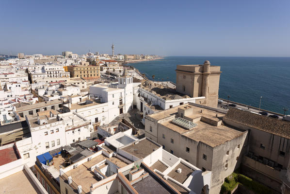 Overview of Cádiz from the bell tower of the Cathedral, Cádiz, province of Cádiz, Andalusia, Spain