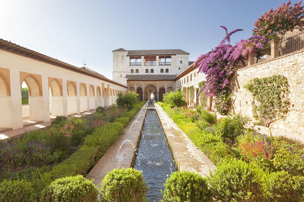 The Court of la Acequia, Generalife Palace, Granada, province of Granada, Andalusia, Spain