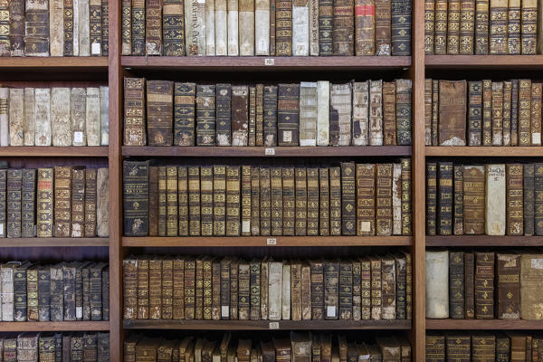 Ancient books in Biblioteca Joanina (Joanine Library), University of Coimbra, Coimbra, Coimbra district, Centro Region, Portugal.