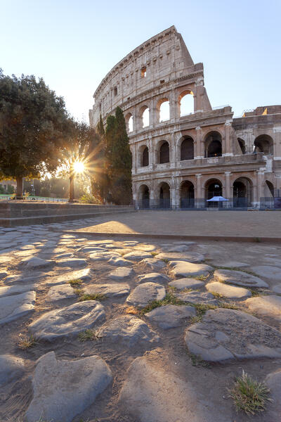 Colosseum at sunrise, Rome, Lazio, Italy.