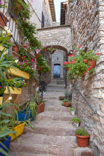 A typical alley in Collepino, Spello municipality, Perugia province, Umbria region, Italy.