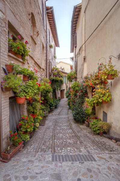 A typical alley in Spello, Perugia province, Umbria region, Italy.
