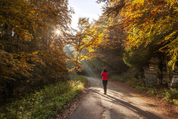 A hiker in Cansiglio Forest in fall season, Fregona, Treviso province, Veneto, Italy.