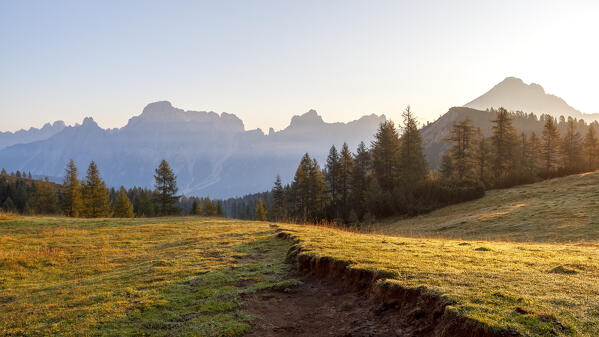 Morning quiet at dawn at the pastures near Passo di Rutorto, with Sorapiss, Marmarole and Antelao groups on the background, Dolomites, Vodo di Cadore,  Belluno province, Veneto, Italy.